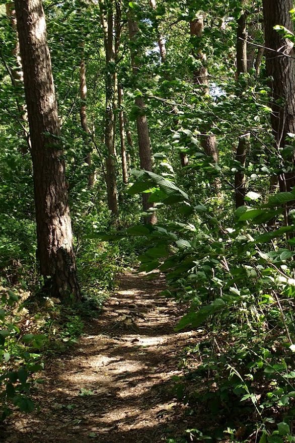 IMG_20170607_162259519