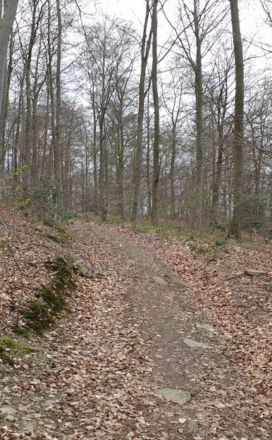 IMG_20190412_112705026 run4all trail 35k